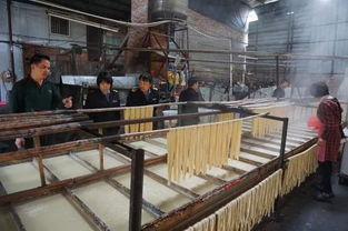 突擊檢查！欽州三家腐竹廠生產環境觸目驚心，衛生狀況堪憂