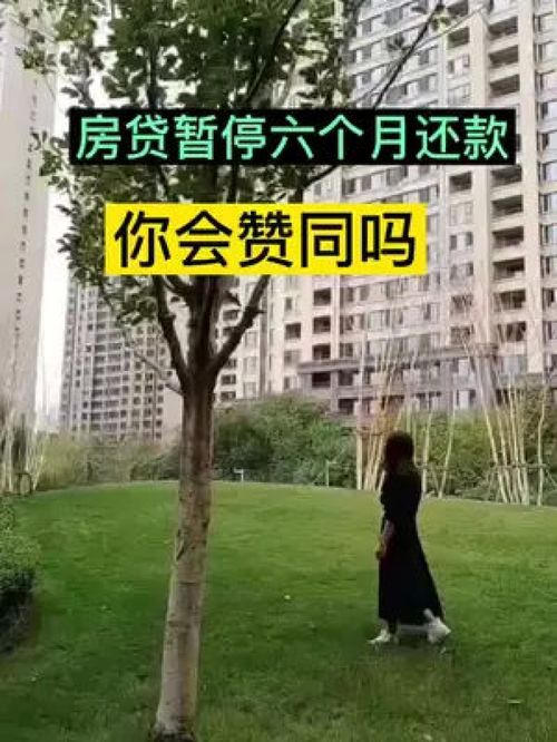 買房那些事 最新消息 房產(chǎn)知識(shí)分享 干貨分享 房產(chǎn)咨詢 分享房產(chǎn)知識(shí)